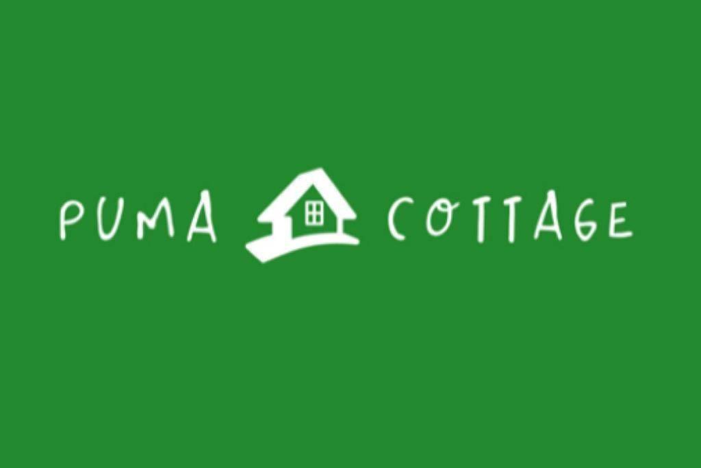 Puma Cottage Horcón 外观 照片